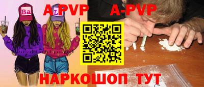 Альфа ПВП Кандалакша