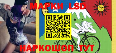 Альфа ПВП Кандалакша