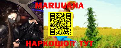 Альфа ПВП Кандалакша