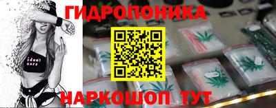 крисы Канаш