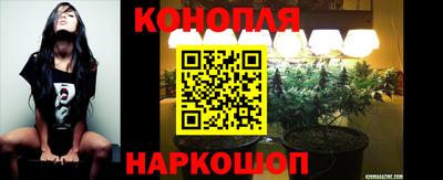 крисы Канаш
