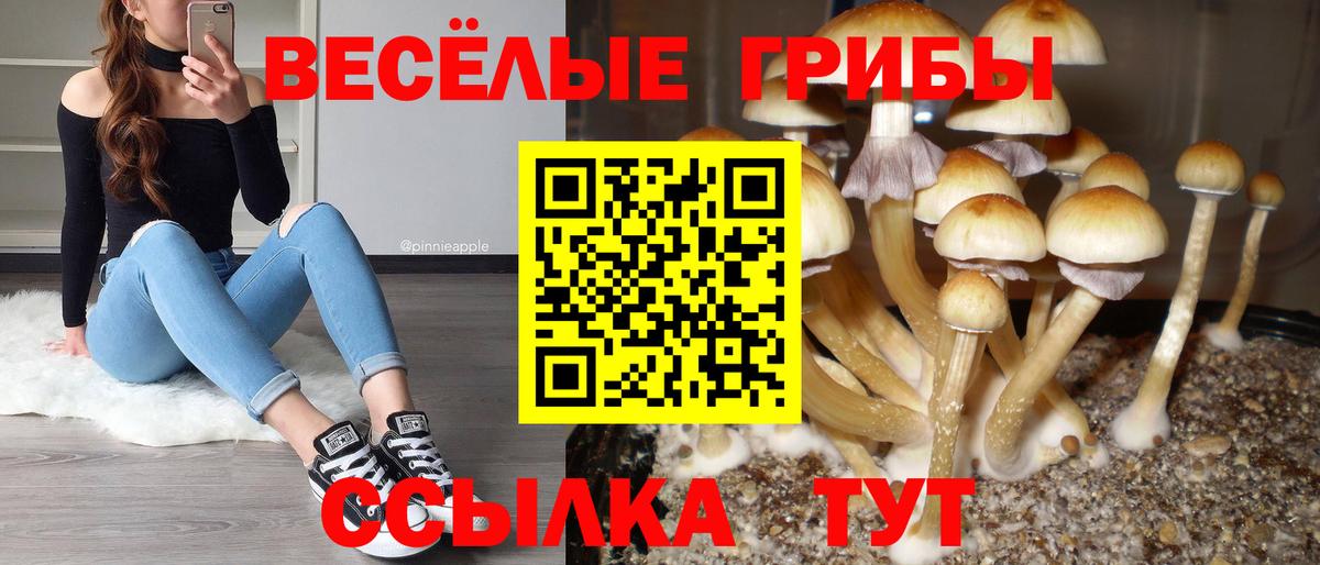 Псилоцибиновые грибы ЛСД Ирбит